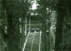 yokoji